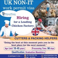UK NONIT work permit visa