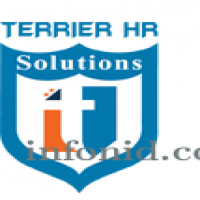 Terrier HR looks into your recruitment needs