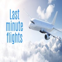 Book Cheap Last Minute Flights Deals  8665798033